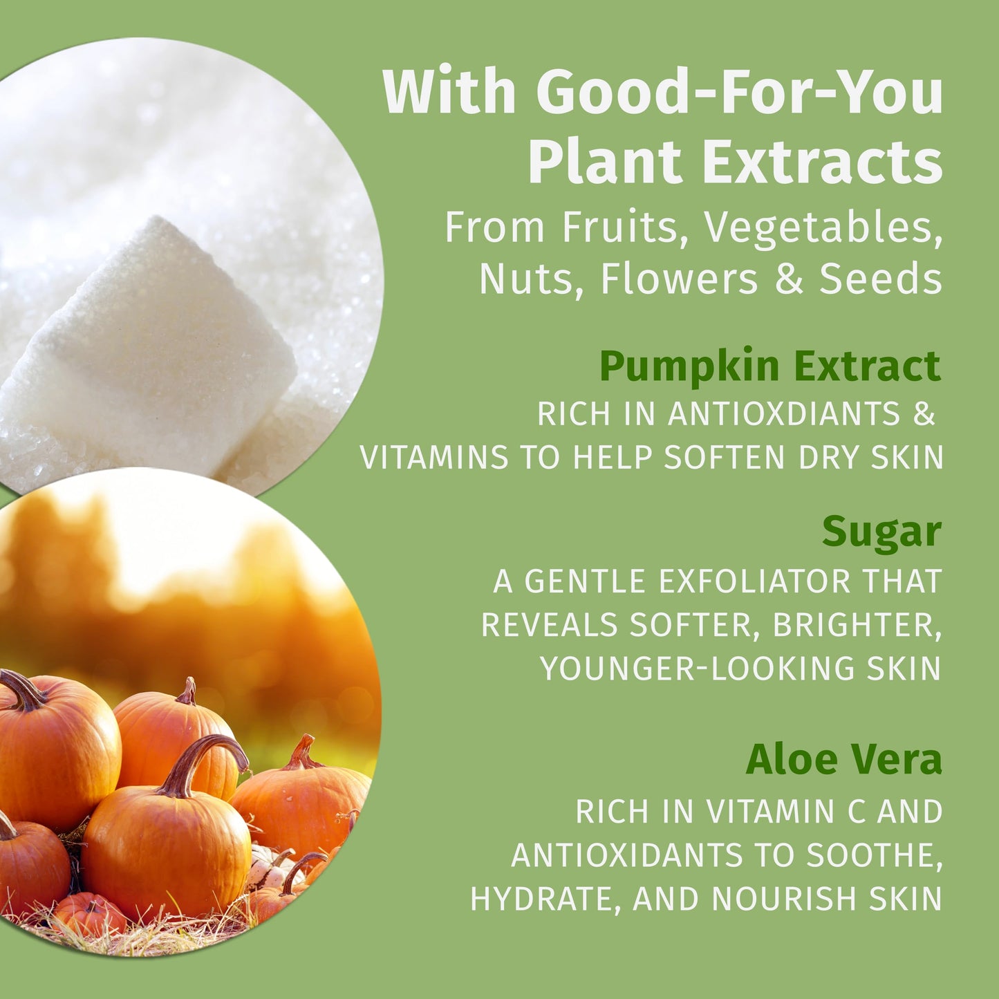 Hempz Limited Edition Pumpkin Spice & Vanilla Chai Sugar Body Scrub 4 oz