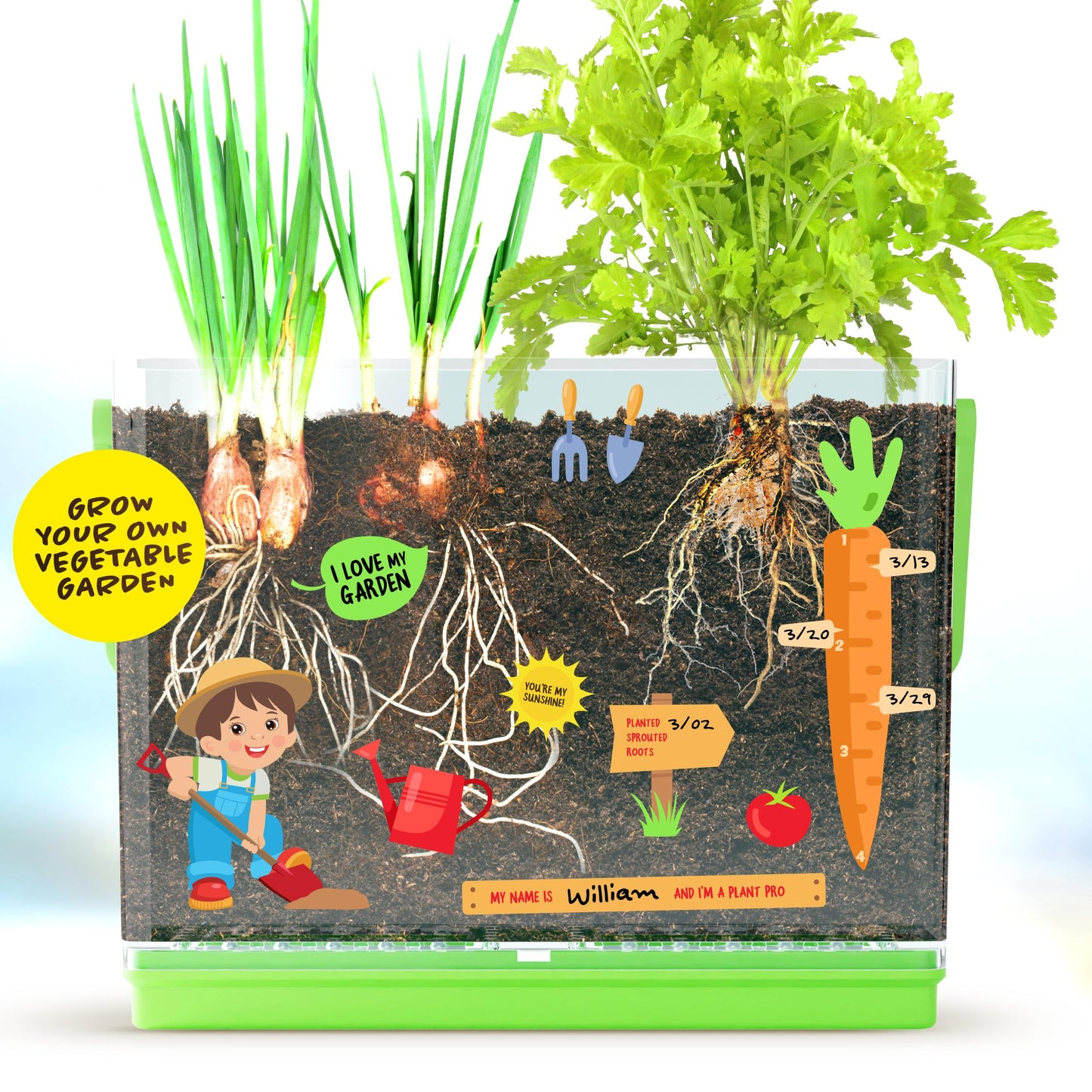 Dan&Darci Root Viewer Kit for Kids – Grow Your Own Plant STEM Science & Craft Toy for Boys & Girls Ages 4-8 | Birthday & Christmas Gift