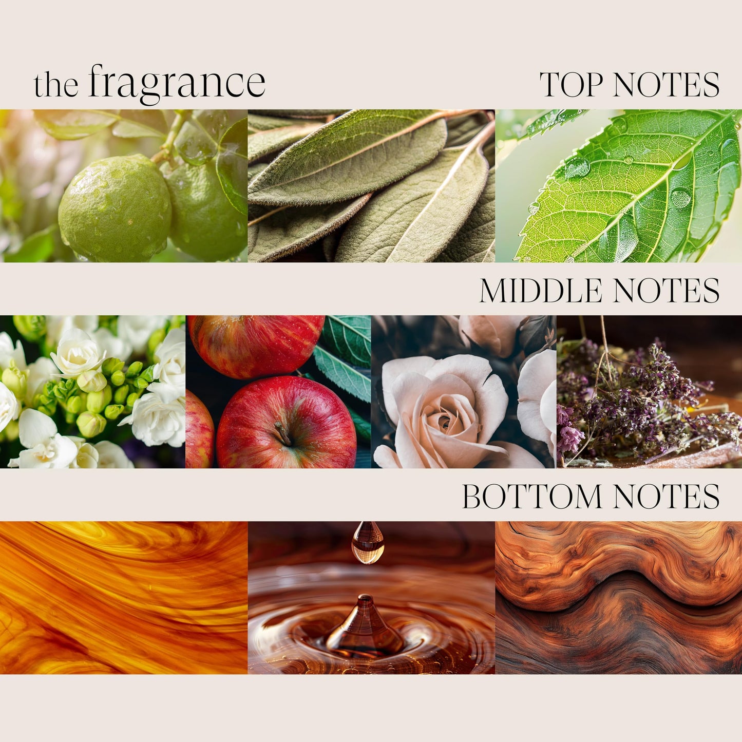 L'ANZA Healing Style Smoother Balm 6.8 Oz | Keratin Hair Serum & Straightening Treatment | Heat Protectant & Anti-Frizz for Curly, Wavy Hair