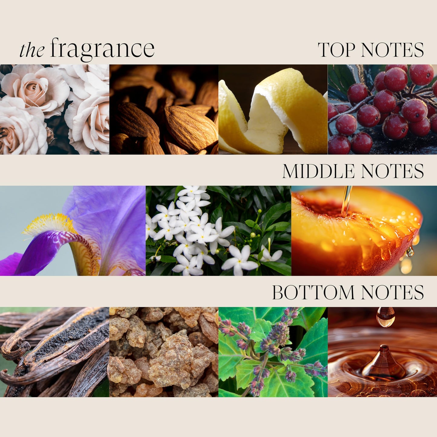 L'ANZA Keratin Healing Hair Oil Treatment, Keratin Hair Treatment, Hair Oil For Damaged Hair, Revives & Nourishes, Sulfate Free Healing Oil for Hair with Phyto IV Complex, Cruelty Free Hair Care