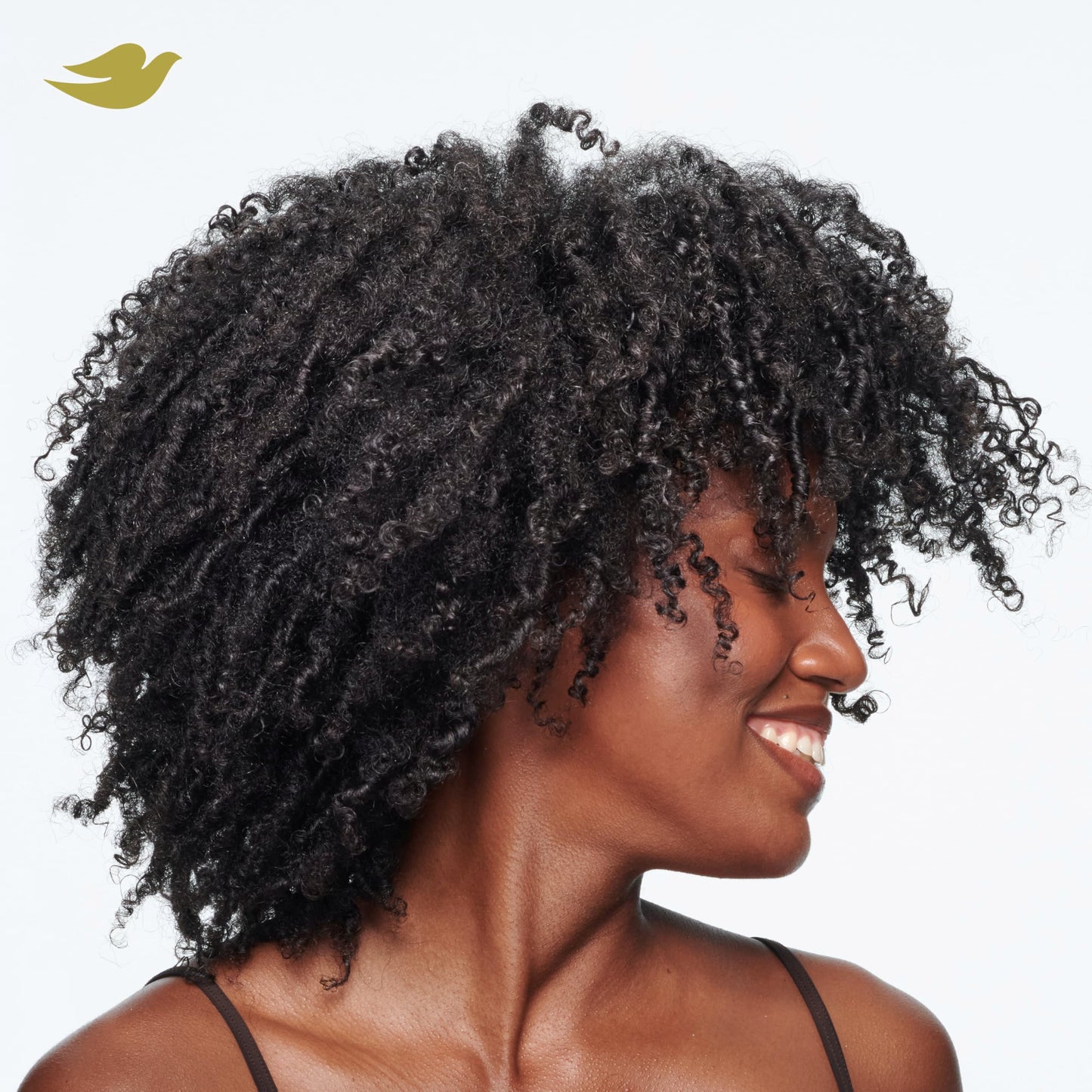 Dove Curl Cream Amino Curl for Curly, Coily Hair with Bio-Protein Care Technology + Amino Complex 8 Fl Oz