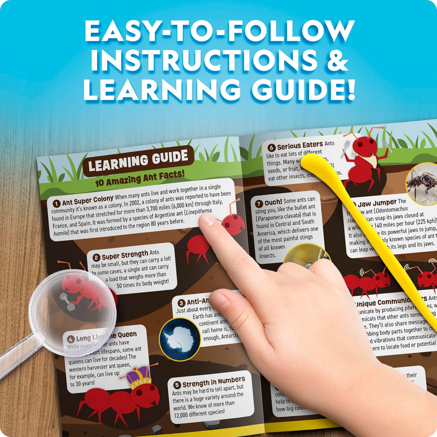 National Geographic Ant Habitat Kit for Kids – Light-Up Terrarium with Magnifiers, Tunnels & Activities, Ant Colony Explorer