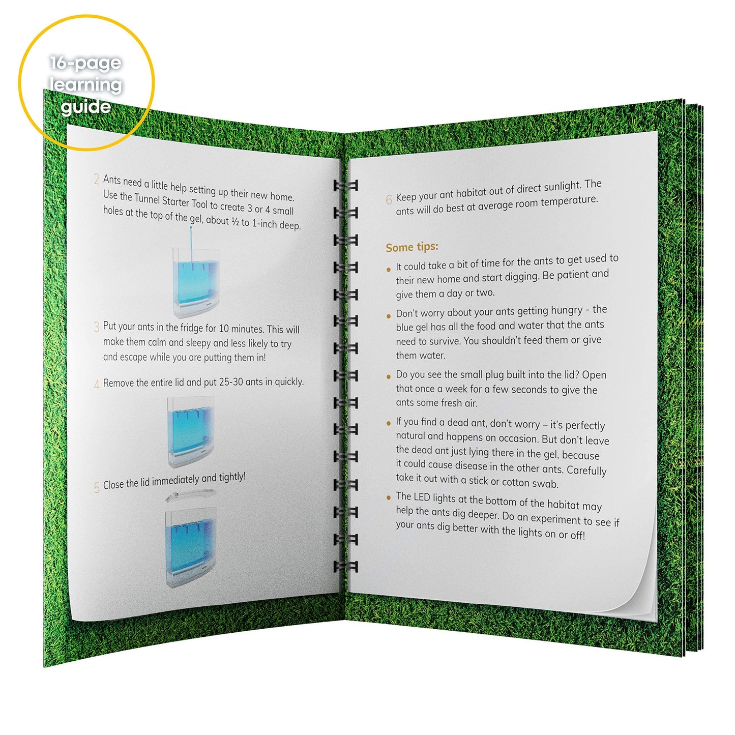 Dan&Darci Light-Up Ant Farm Kit for Kids – LED Terrarium with Nutrient Gel, Watch Ants Dig Tunnels, STEM Science & Experiment Toy Gift