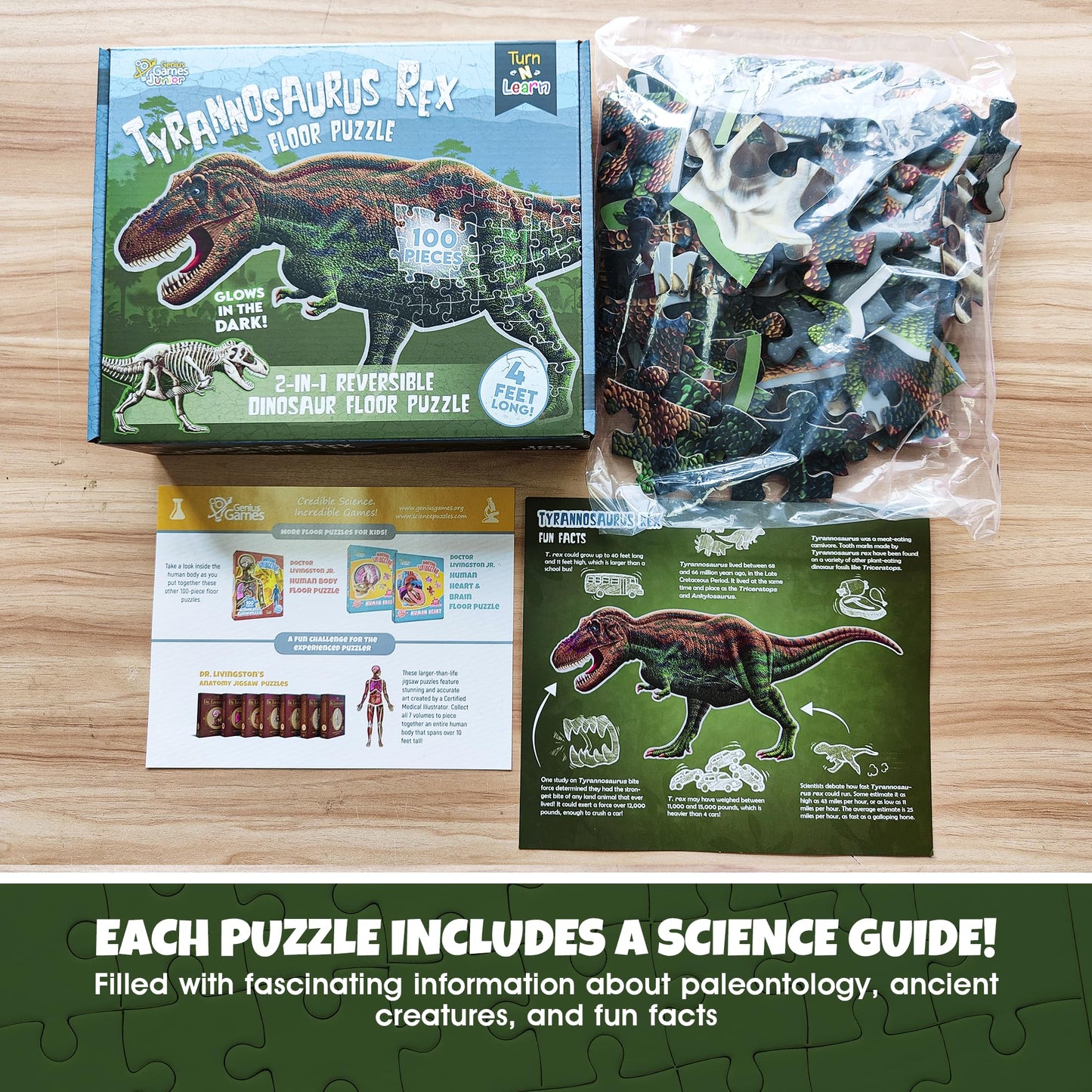 Tyrannosaurus Rex 100-Piece Double-Sided Jigsaw Puzzle – Glow-in-the-Dark Skeleton, 4ft Dino Illustration, Educational Toy for Kids