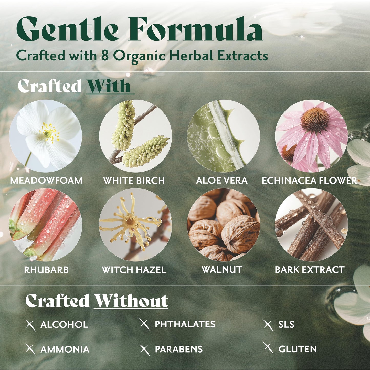 Herbatint Permanent Hair Color Gel 1N Black – 100% Gray Coverage – Ammonia & Alcohol Free, Vegan Hair Dye for Women, Salon-Quality, 5.75 fl oz