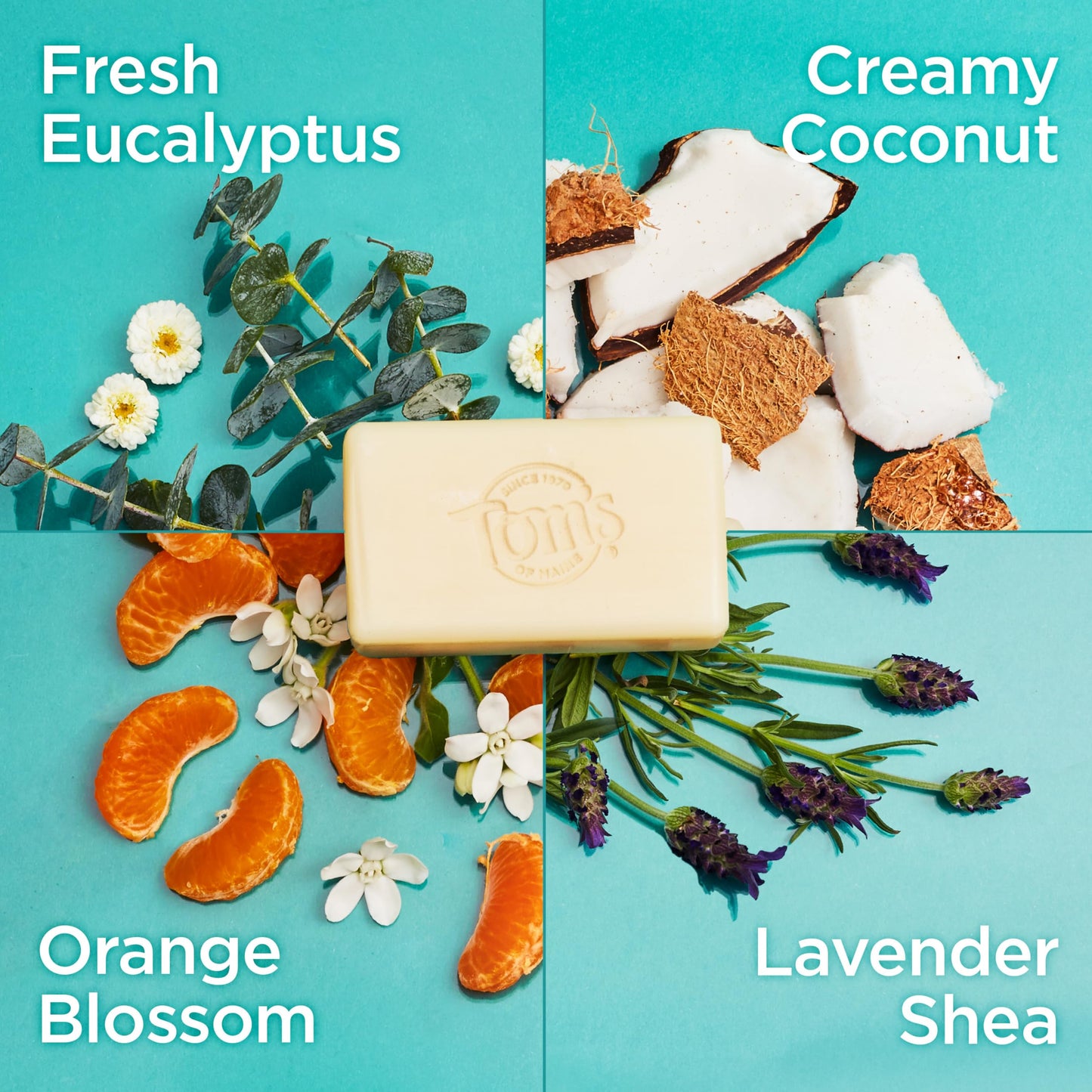 Tom’s of Maine Bar Soap Variety Pack – Natural 5 oz Bars for Women & Men, Lavender & Shea, Eucalyptus, Coconut, Orange Blossom (4-Pack)